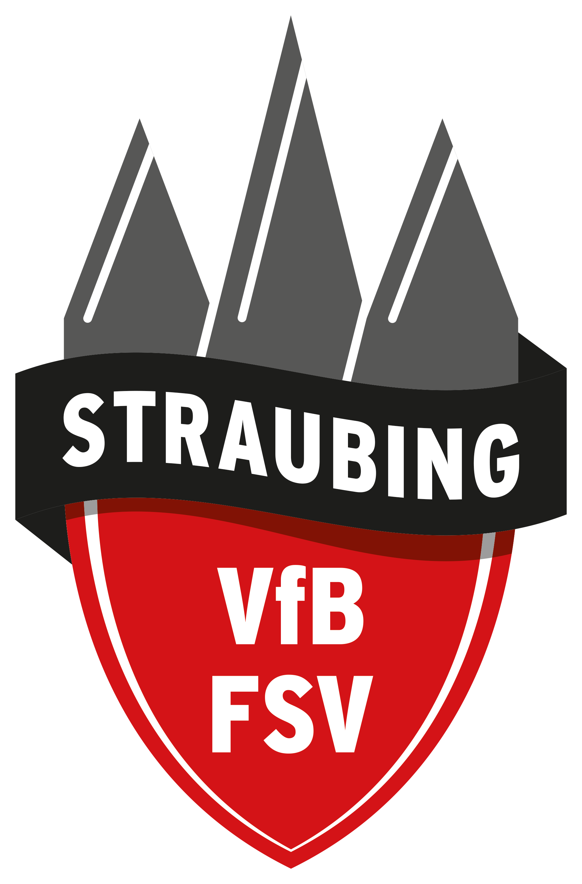 Logo des FSV VfB